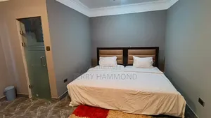 Furnished 2bdrm Apartment in Tseaddo Around  for rent