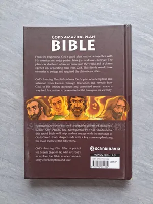 God's Amazing Plan Bible