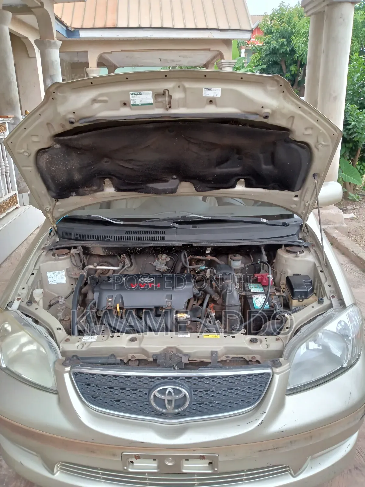 Toyota Vios 2010 Gold