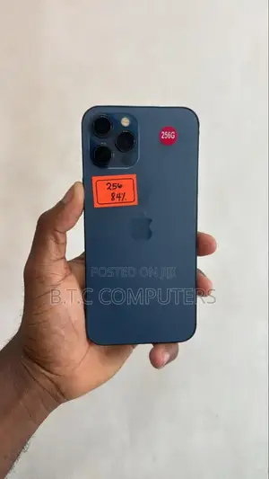 Apple iPhone 12 Pro Max 256 GB Blue