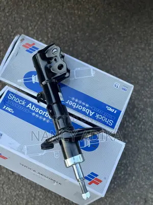 Shocks Absorbers