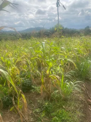 100 Acres of Prime Area Main Roadside Land at Shai Hills