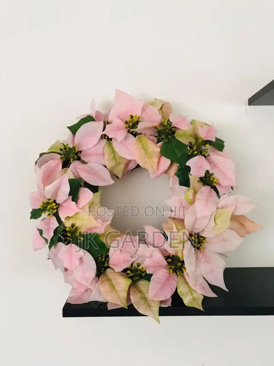 Christmas Flower