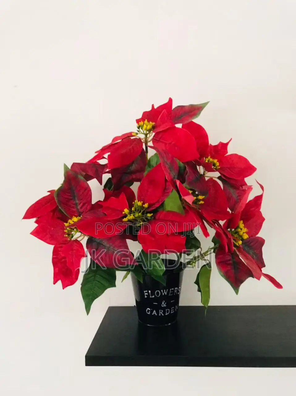 Christmas Flower