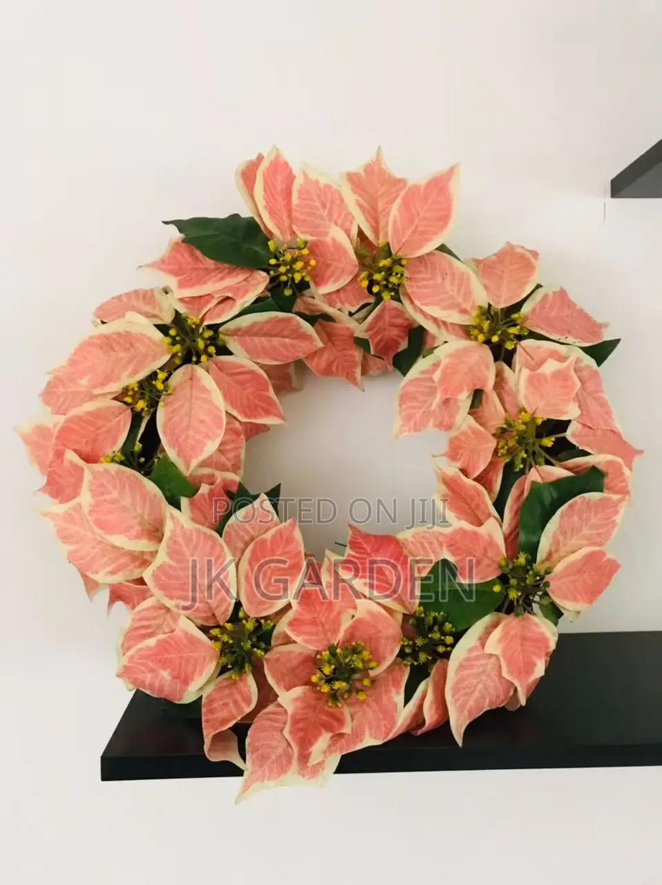 Christmas Flower