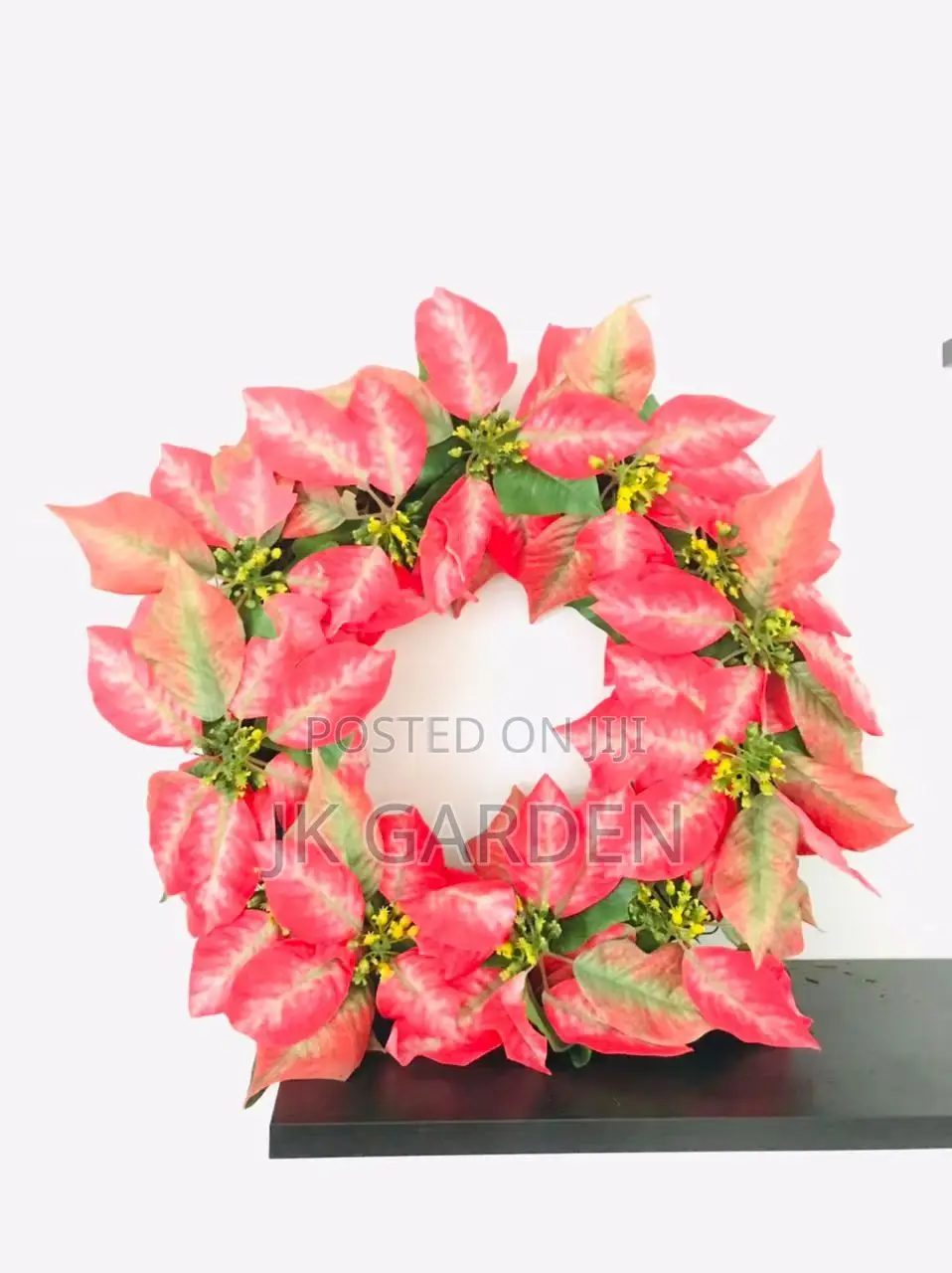 Christmas Flower