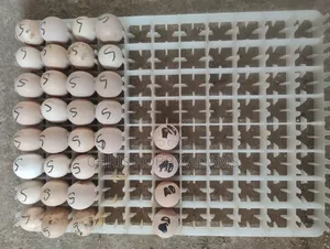 Incubator Egg Tray Heavy Duty