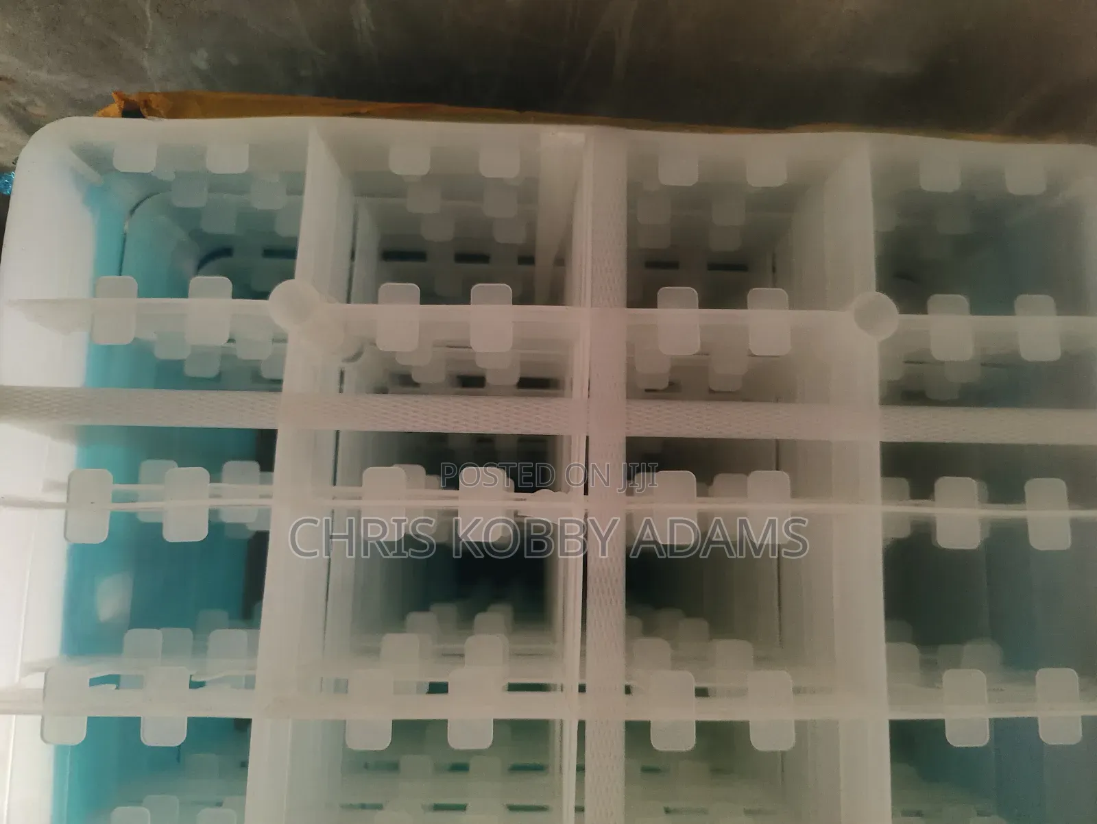 Geese Egg Hatching Tray