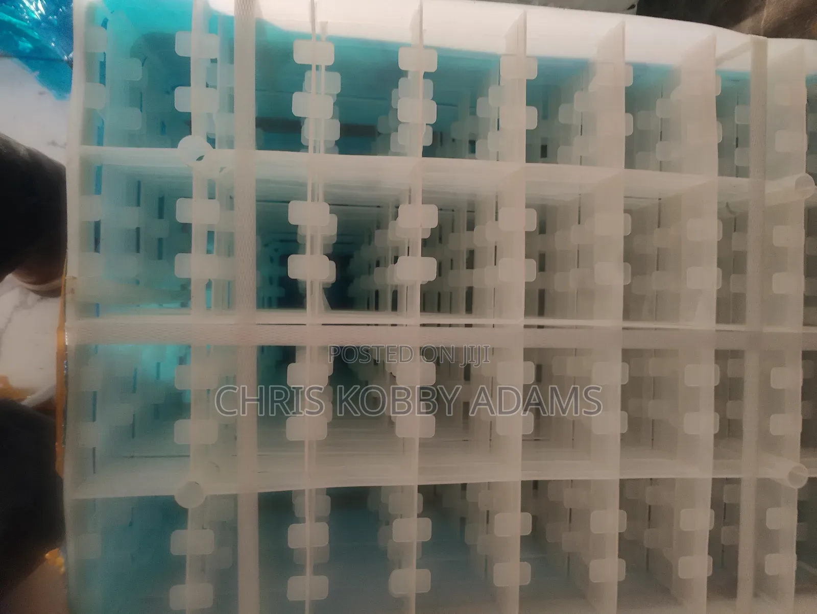 Geese Egg Hatching Tray