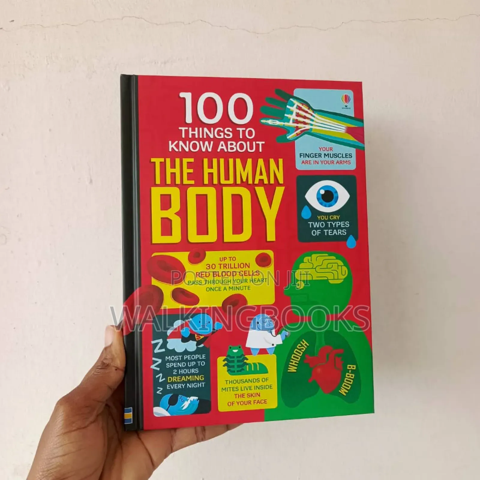 Usborne Books For Beginners. Usborne 100 Things To Know