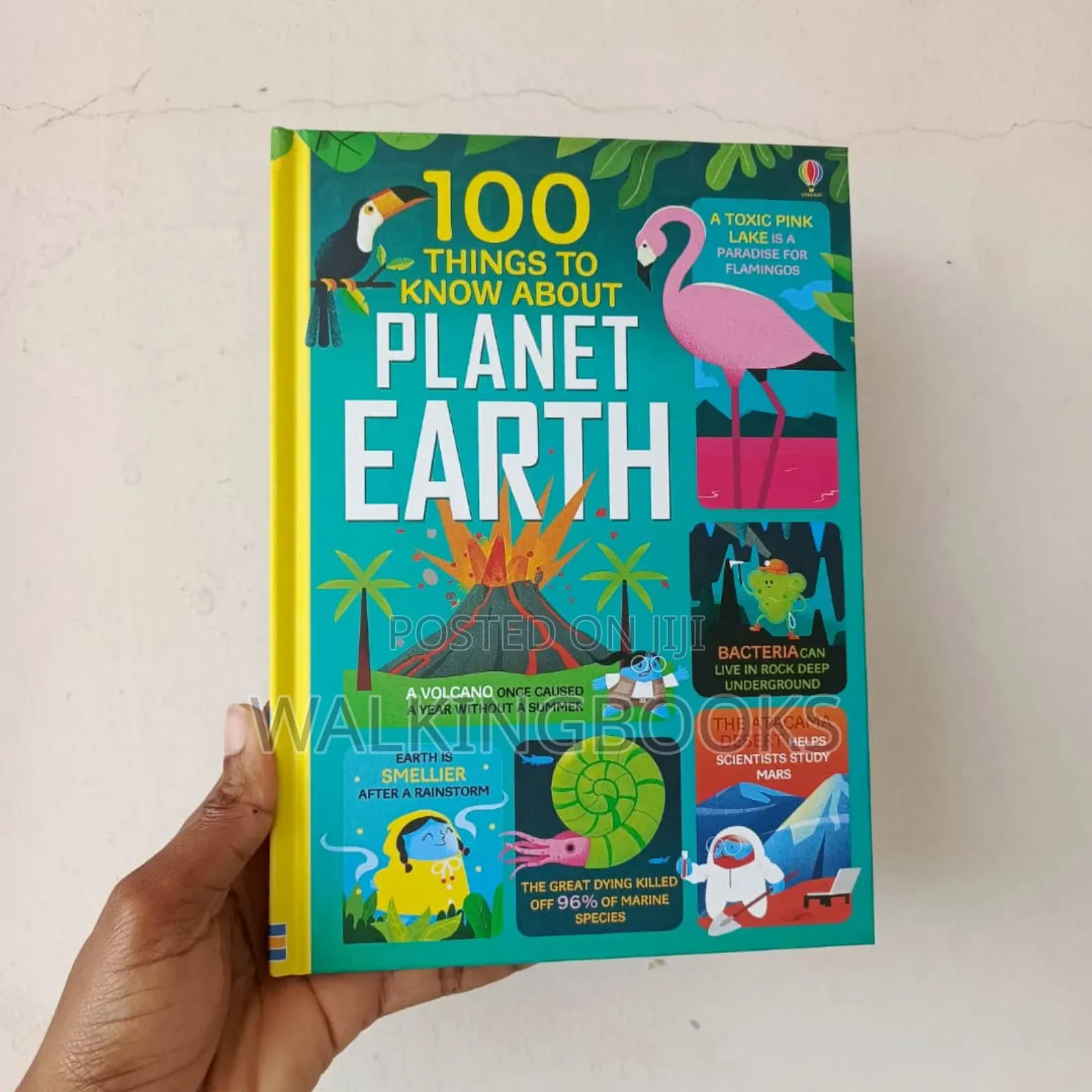 Usborne Books For Beginners. Usborne 100 Things To Know