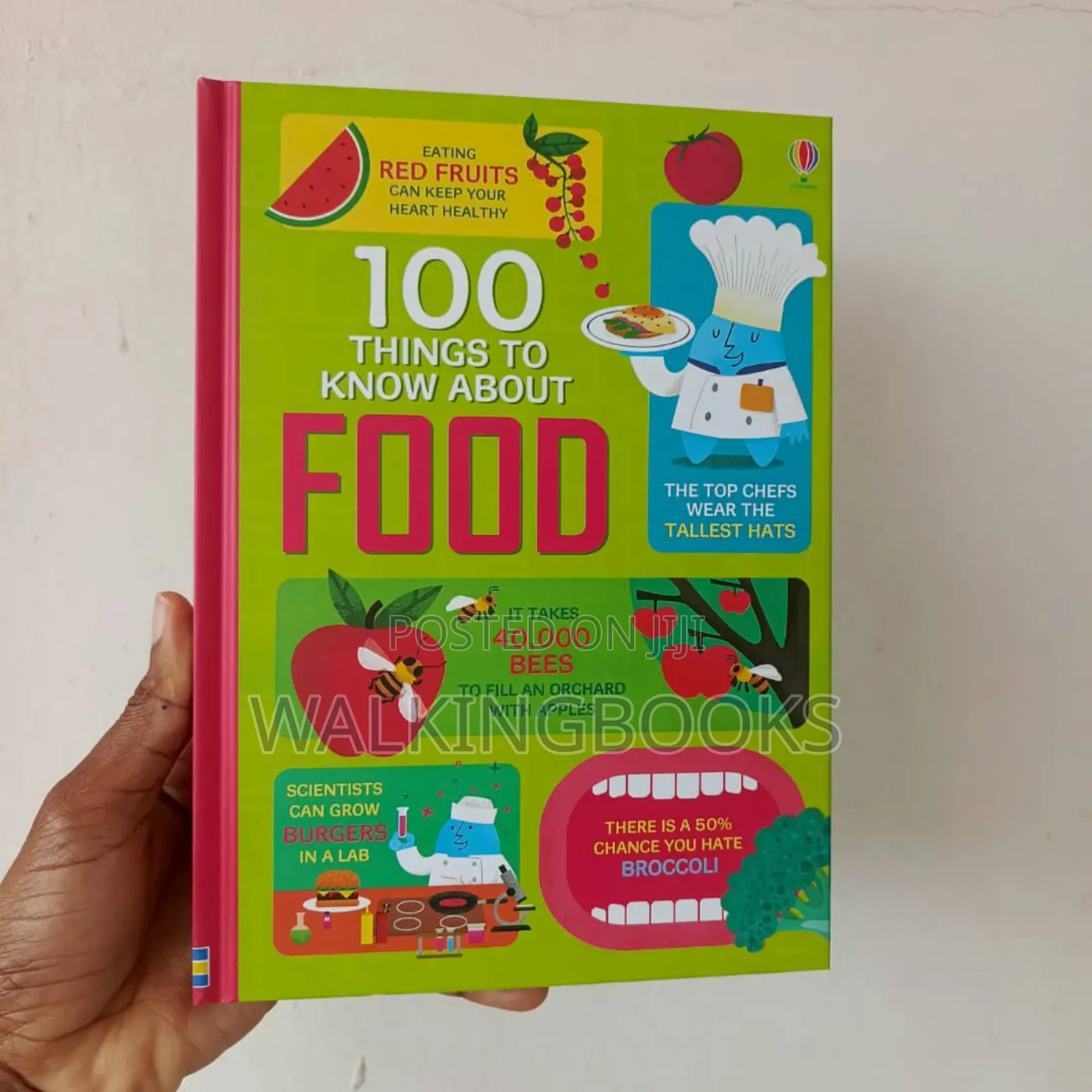 Usborne Books For Beginners. Usborne 100 Things To Know