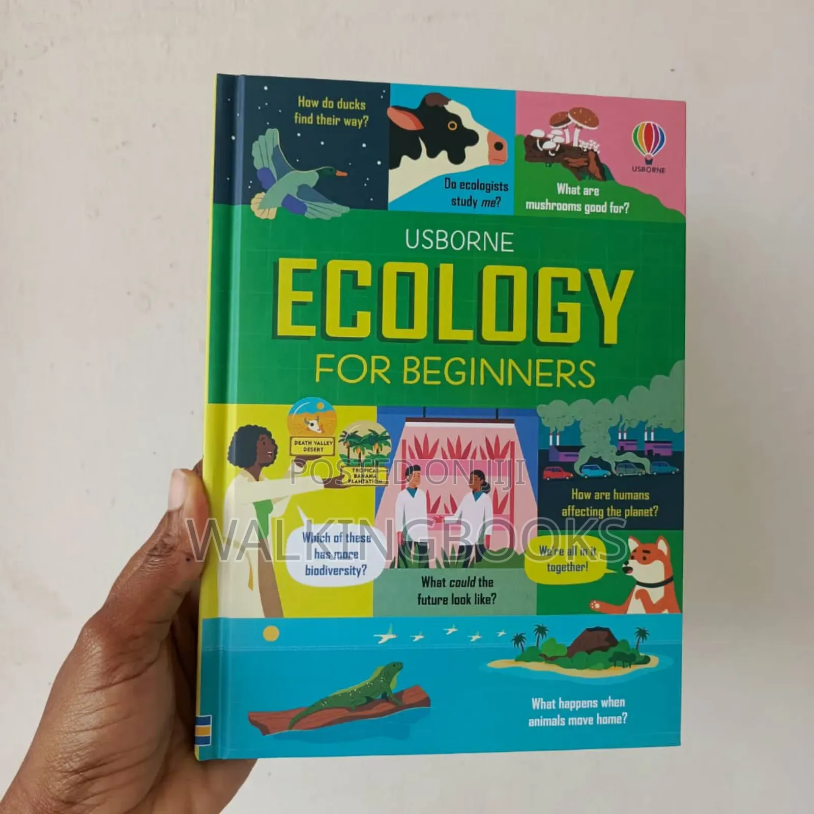 Usborne Books For Beginners. Usborne 100 Things To Know