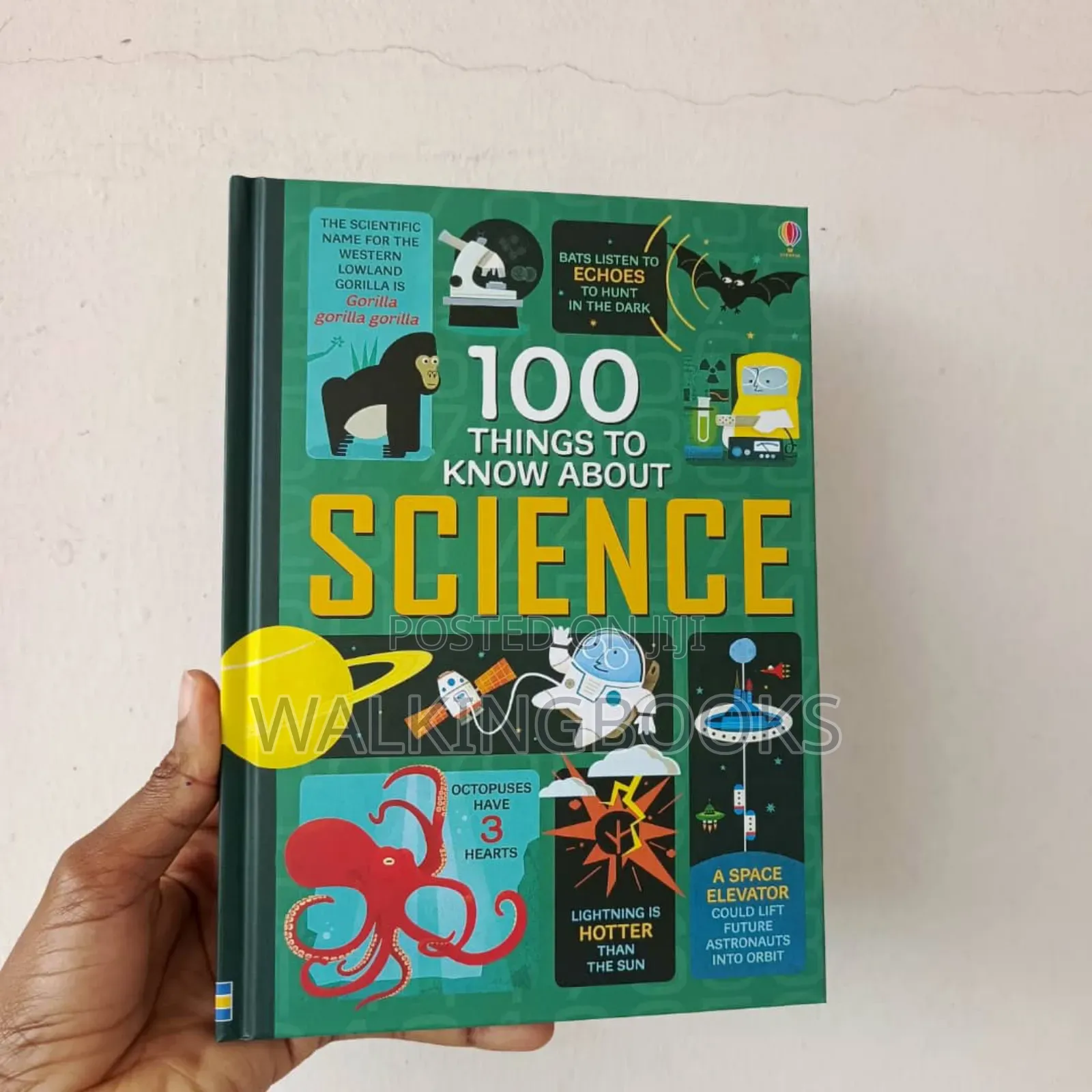 Usborne Books For Beginners. Usborne 100 Things To Know