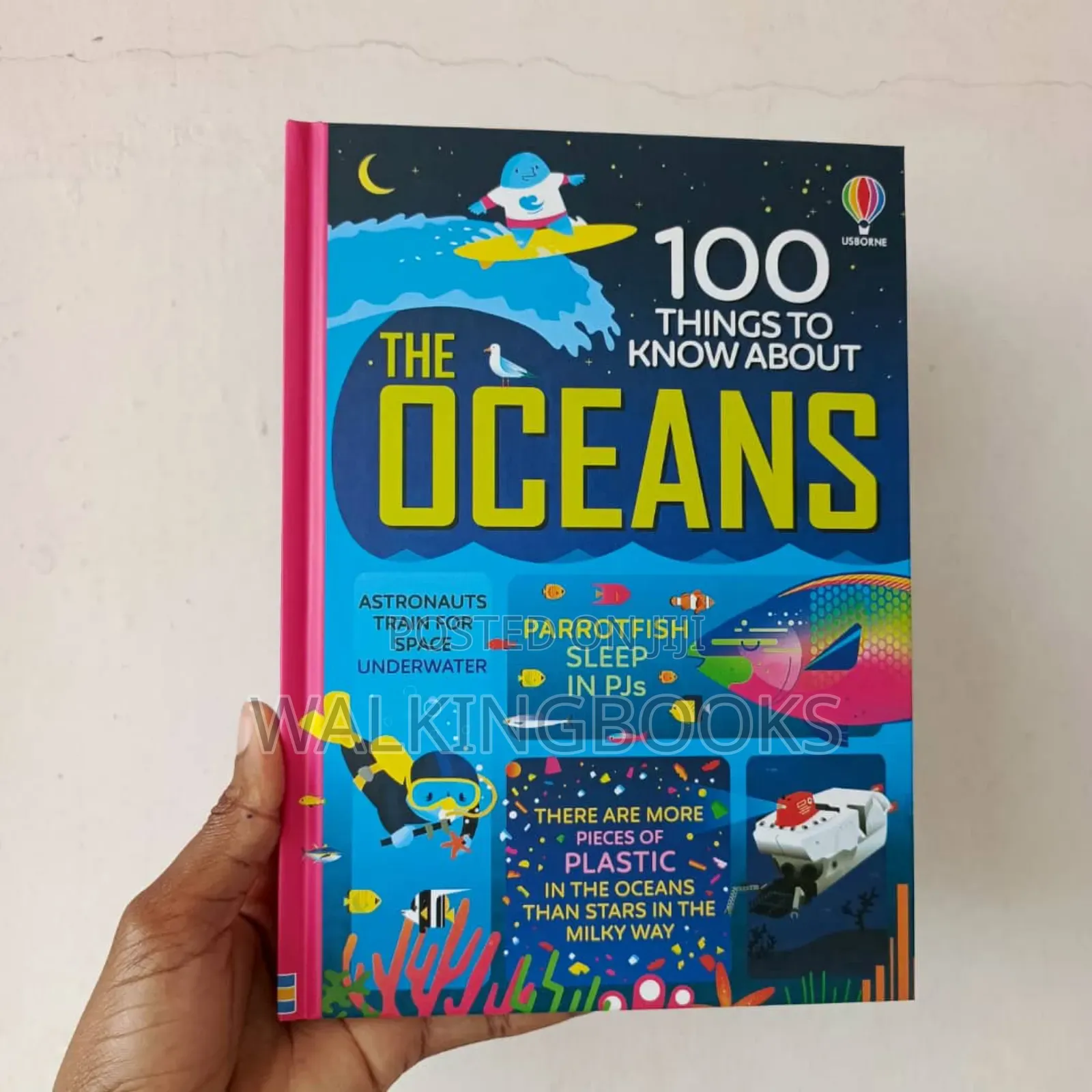 Usborne Books For Beginners. Usborne 100 Things To Know