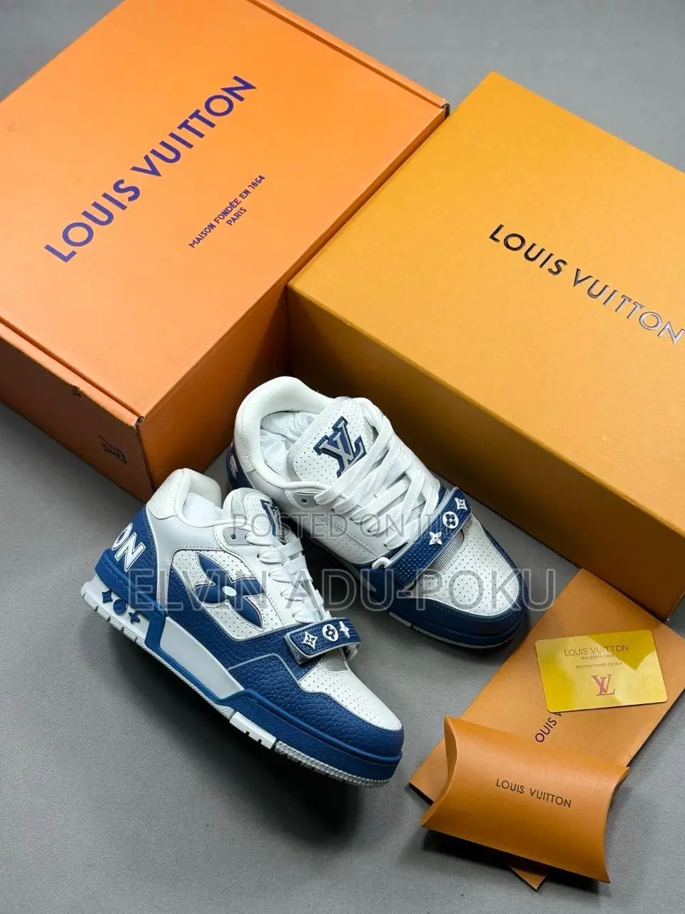 Louis Vuitton Trainer Low Sneaker In Different Styles , Swipe >>>