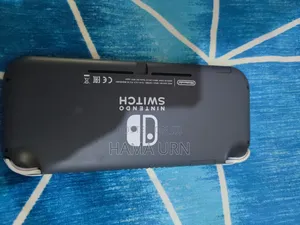 Hacked Nintendo Switch Lite 128gb