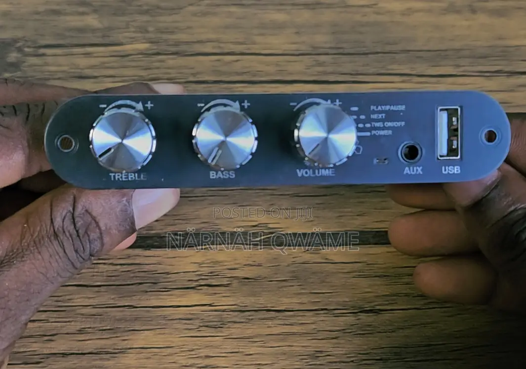 Zk-1001u Mono Mini Amplifier