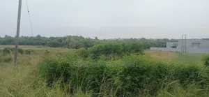 22 Acres of Industrial Land Is for Sale at Kpone- Tema