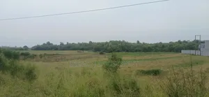 22 Acres of Industrial Land Is for Sale at Kpone- Tema