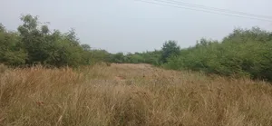 22 Acres of Industrial Land Is for Sale at Kpone- Tema