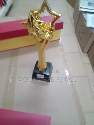 Golden Star Crystal Trophy – Rising Star Awards!