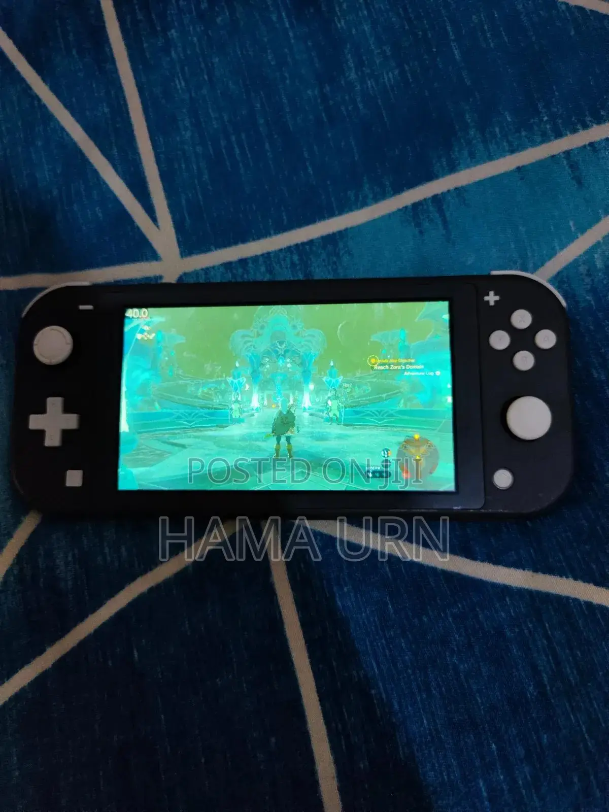 Hacked Nintendo Switch Lite 128gb