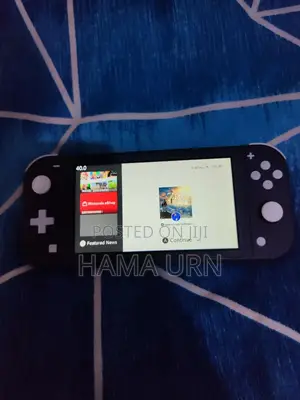 Hacked Nintendo Switch Lite 128gb