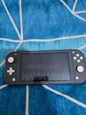 Hacked Nintendo Switch Lite 128gb