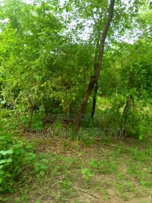 10,000 Acres Farm Land for Sale