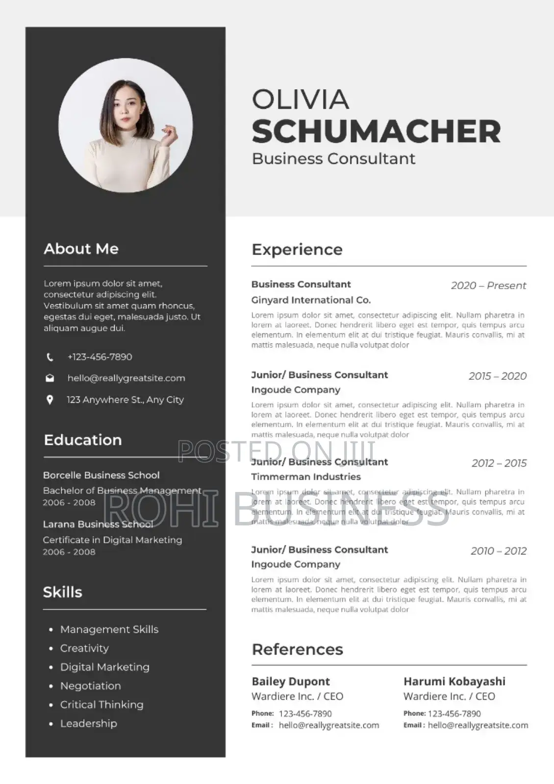 Professional Cv and Résumé Writing Service