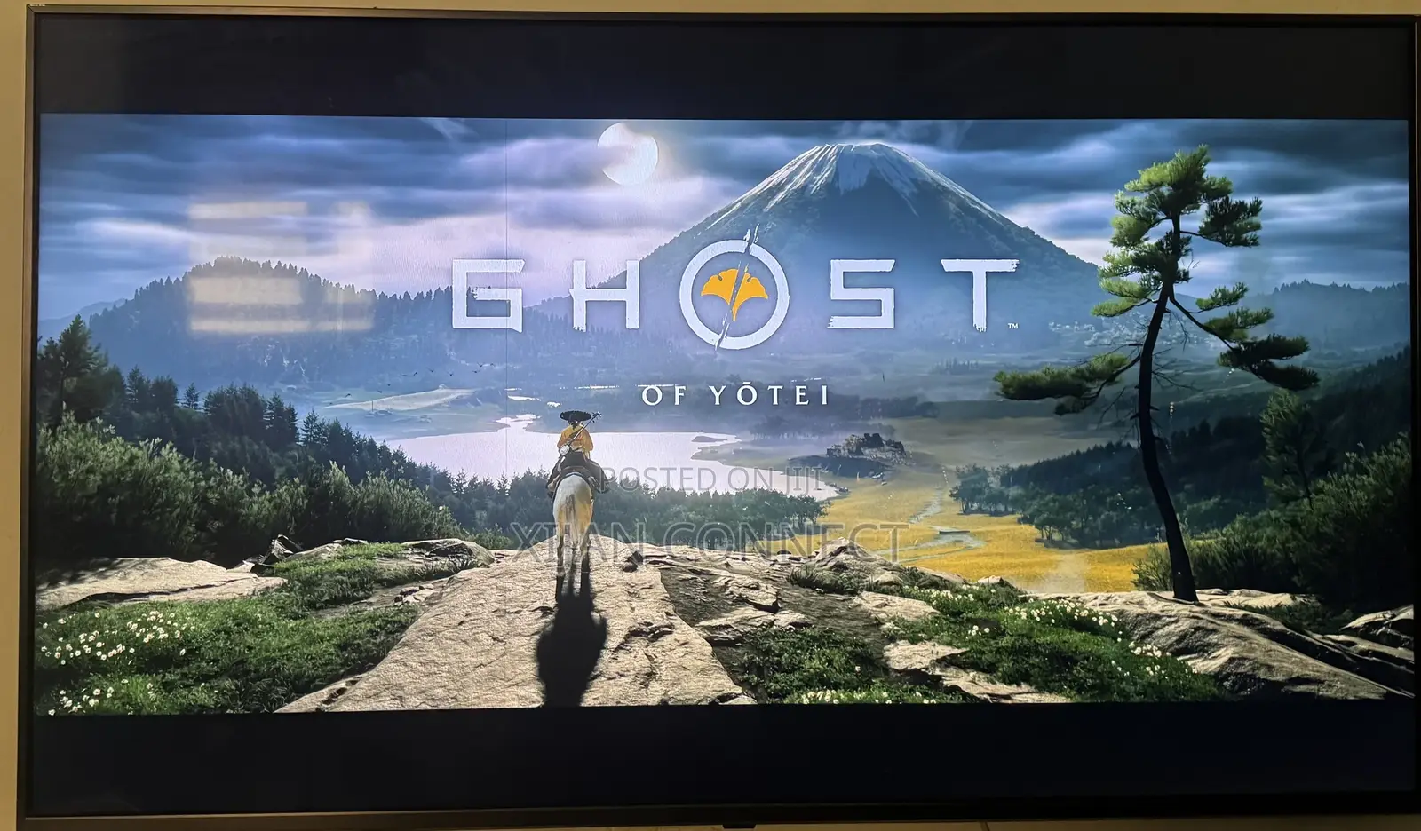 Ghost Of Yotei Ps5 Both Online Offline Installation