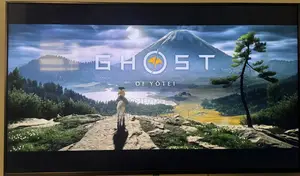 Ghost Of Yotei Ps5 Both Online Offline Installation