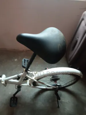 Foldable Bicycle