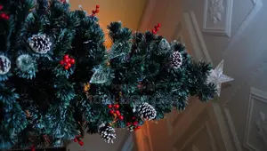 240cm Christmas Tree With Led Lights