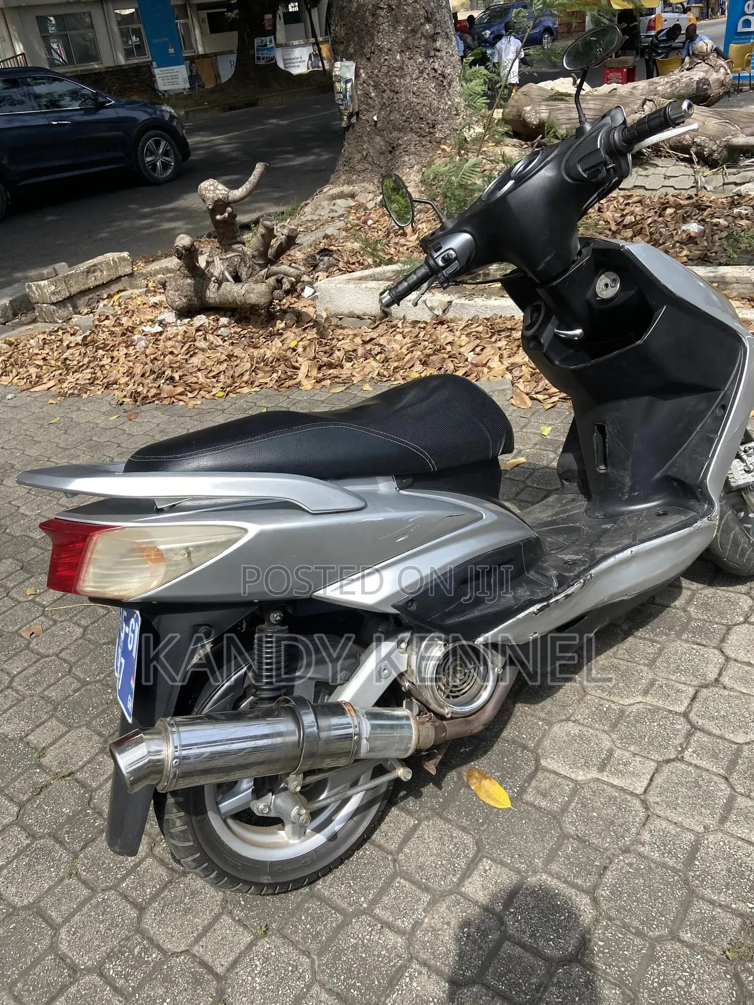 Yamaha Majesty 2025 Gray