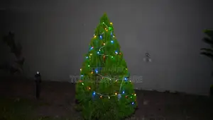 Battery Operated Fairy Light