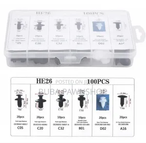 100 PCS Universal Car Fastener Clips - 6 Different Types