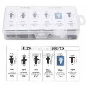 100 PCS Universal Car Fastener Clips - 6 Different Types