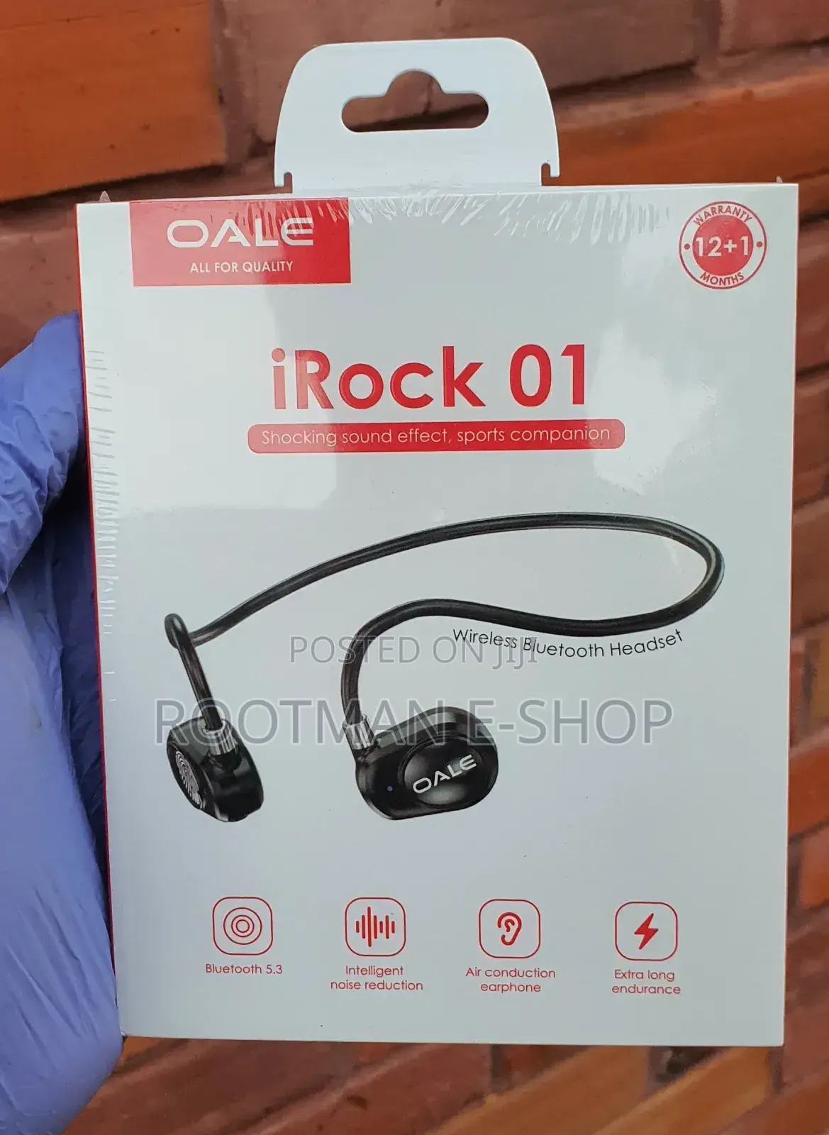Open Ear Bluetooth Wireless Earphones (Irock 01)