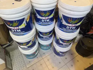 Shinestar DTM (High Gloss Paint