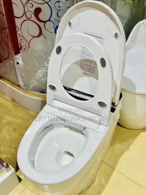 Smart Toilet-Intelligent Wc-Electronic Toilet-Remote Control Wc