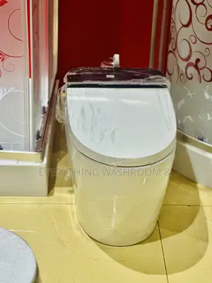 Smart Toilet-Intelligent Wc-Electronic Toilet-Remote Control Wc
