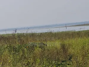 Volta River Front Farm Land for Long-Term Leases