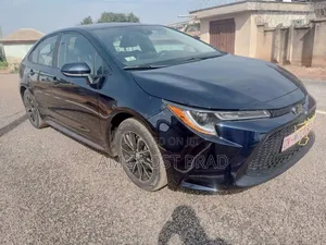 Toyota Corolla LE 2020 Blue