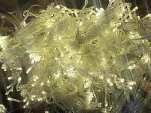 Seasonal or Holiday Light Available for Sale