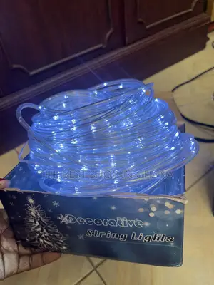 Holiday or Seasonal Lights Available for Sale