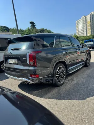 Hyundai Palisade 2021 Gray