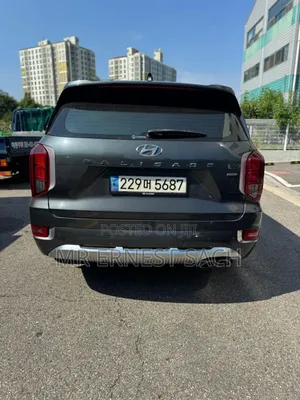 Hyundai Palisade 2021 Gray
