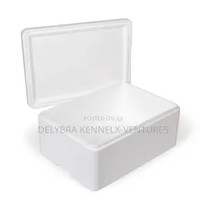 Styrofoam Storage Chest